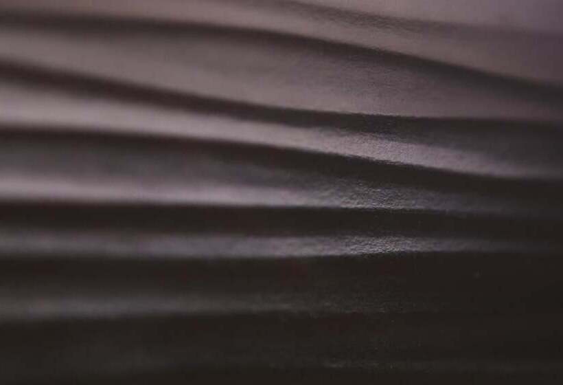 酒店 Logis Hôtel Ettenheim