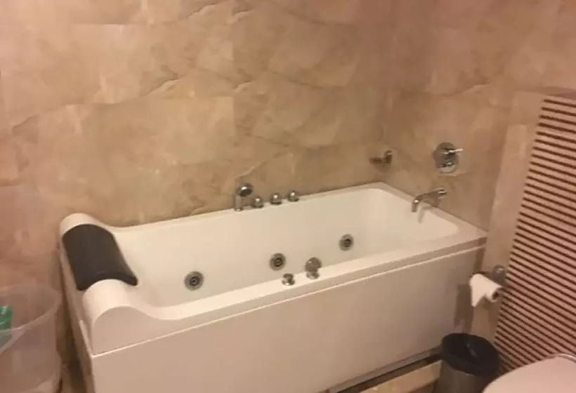 ホテル Shiva Oasis Resort