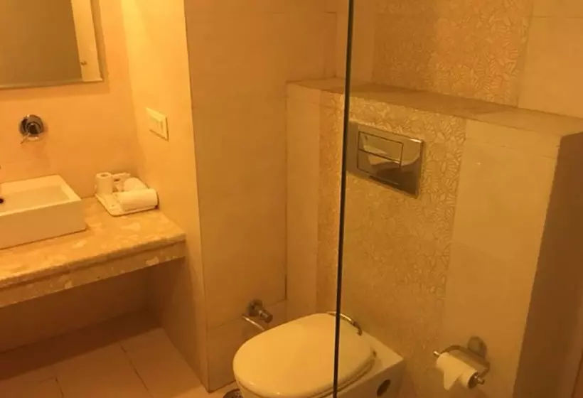 ホテル Shiva Oasis Resort