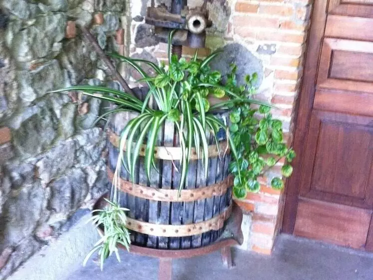 ホテル Agriturismo Il Giglio