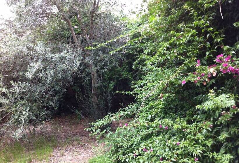 호텔 Agriturismo Il Giglio