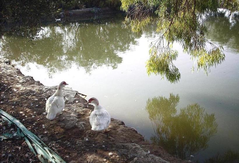 فندق Agriturismoteo