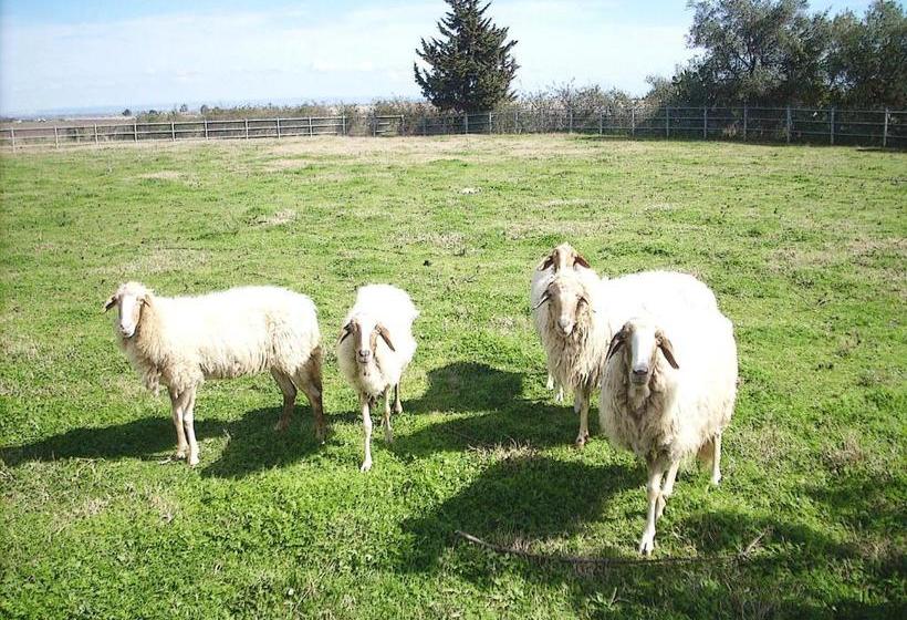 فندق Agriturismoteo