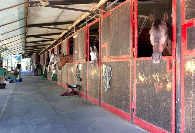 Отель Assia Spa