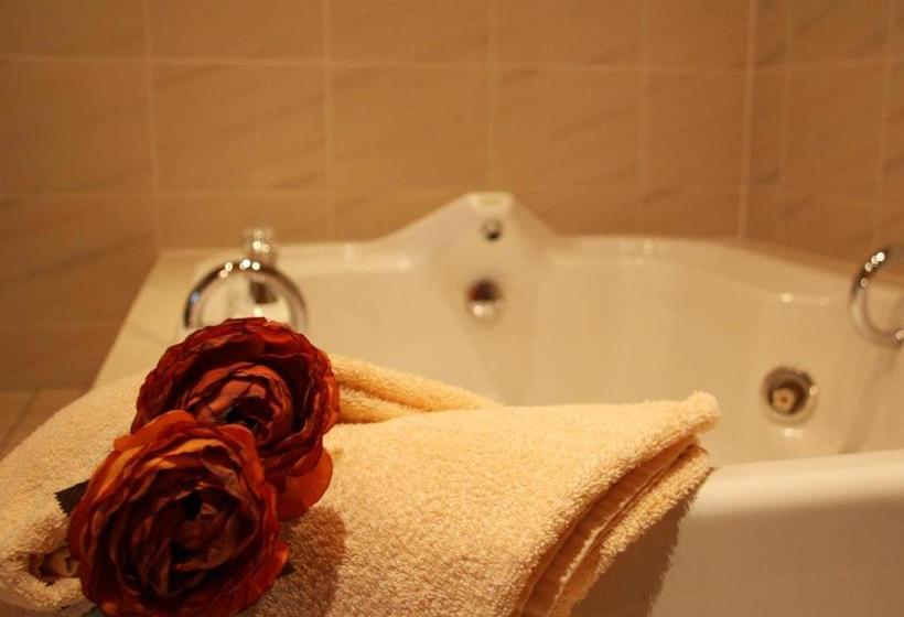 בית מלון כפרי Haus Salzberg Garni