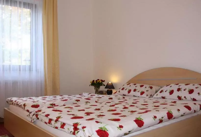 ホテル Haus Salzberg Garni