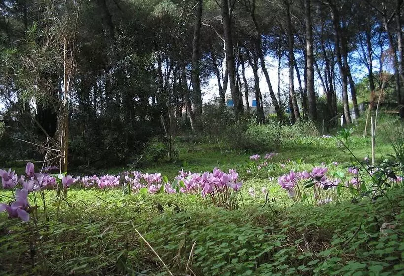 Hotelli Li Spiri Bed & Breakfast