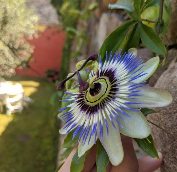 هتل Residence Corte Del Bosco