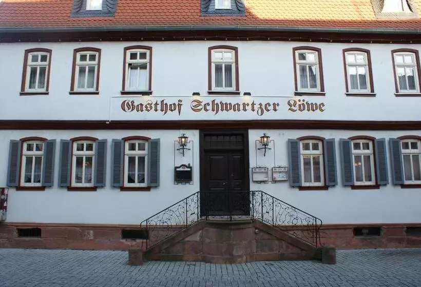 ホテル Schwartzer Löwe