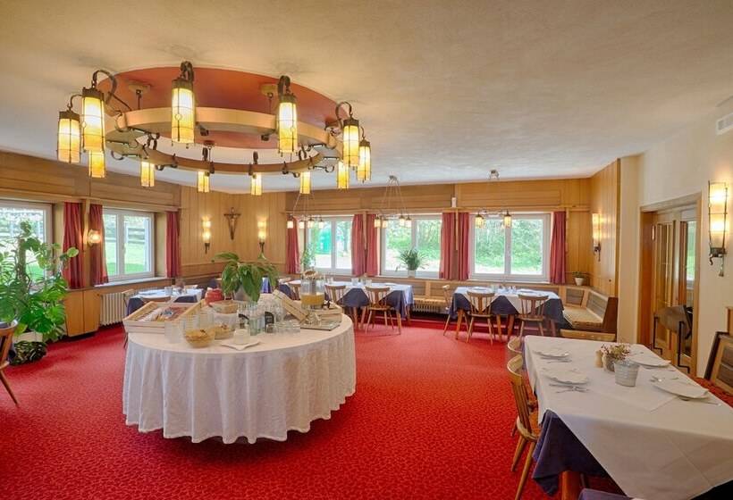 Отель Silbergasser