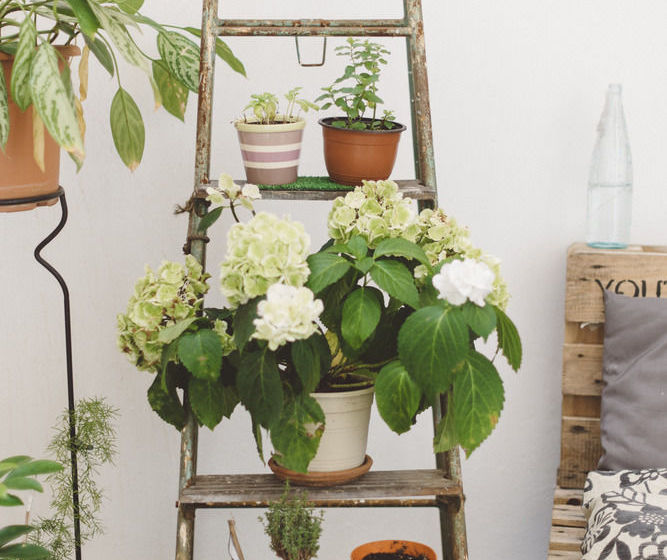 هاستل El Jostel