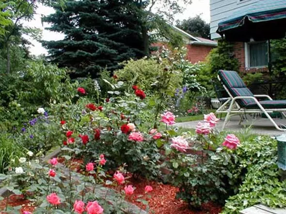 هتل Dorchester House