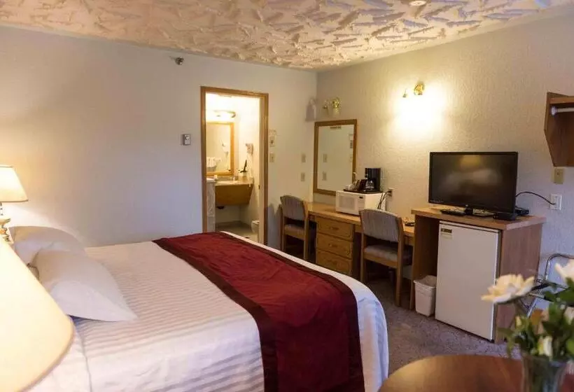 هتل Radium Park Lodge