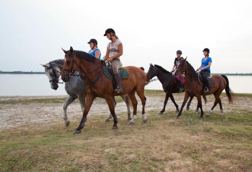 Отель Apetlon`er Familie Böhm
