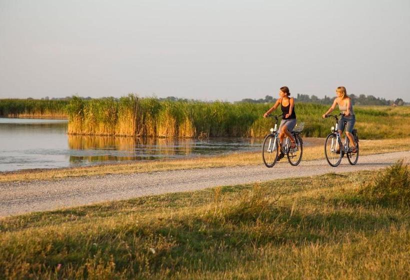 Отель Apetlon`er Familie Böhm