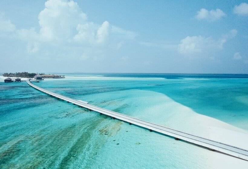 استراحتگاه Jawakara Islands Maldives
