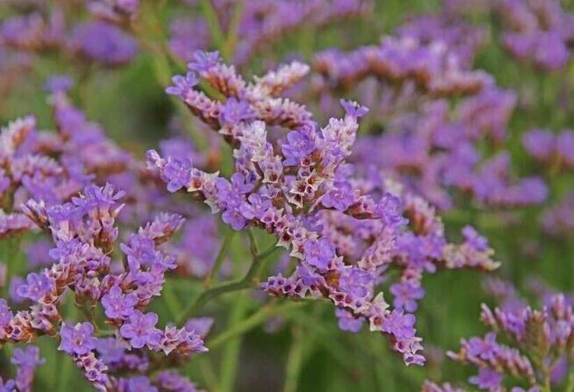 فندق Bariseele B&b