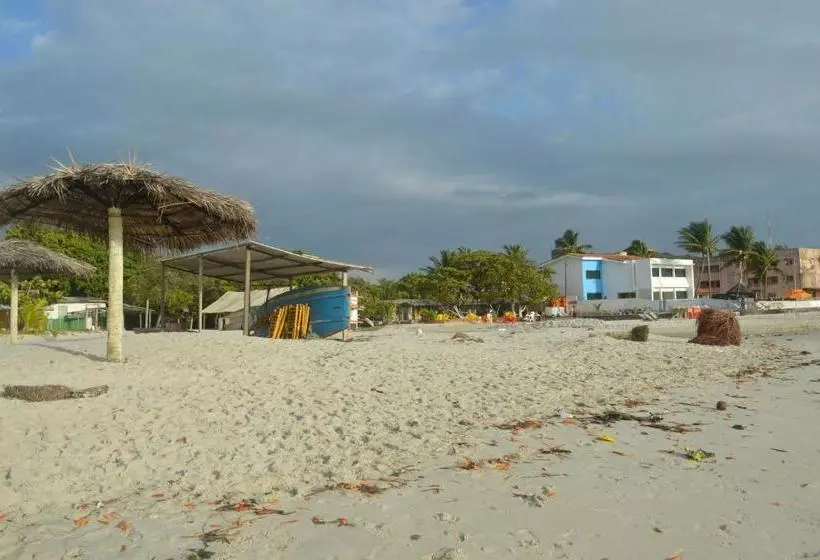 Hôtel Pousada Ciranda