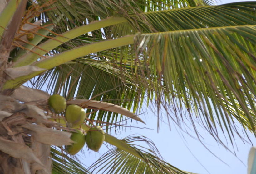 هتل Vistalmar Ocean Suites Brand New Renovated 1bdr Ocean View Infinity Pool Mini Beach Full Kit