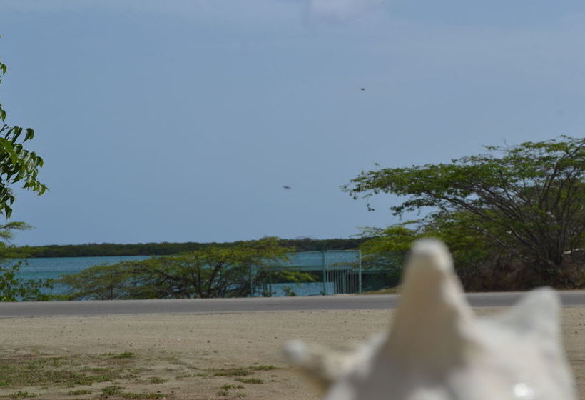 هتل Vistalmar Ocean Suites Brand New Renovated 1bdr Ocean View Infinity Pool Mini Beach Full Kit