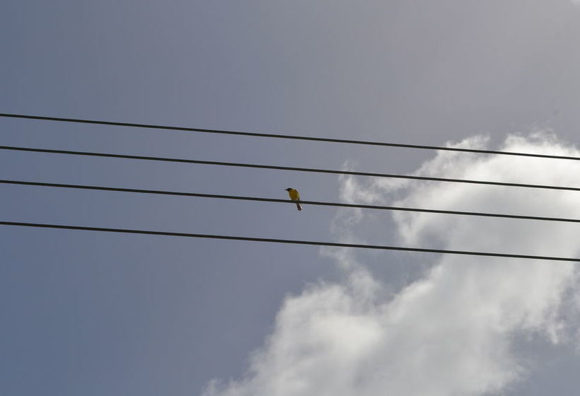 هتل Vistalmar Ocean Suites Brand New Renovated 1bdr Ocean View Infinity Pool Mini Beach Full Kit