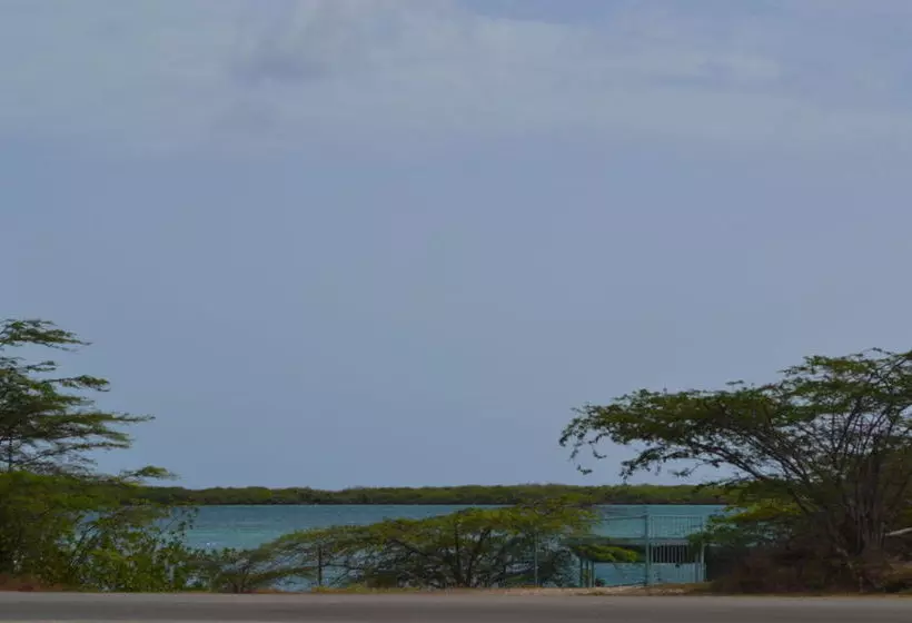 هتل Vistalmar Ocean Suites Brand New Renovated 1bdr Ocean View Infinity Pool Mini Beach Full Kit