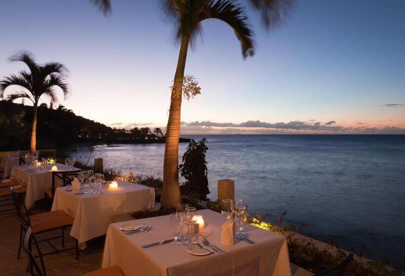 هتل The Cove Suites At Blue Waters Resort And Spa