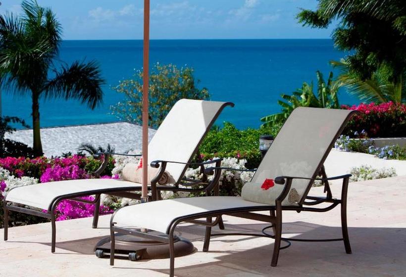 هتل The Cove Suites At Blue Waters Resort And Spa