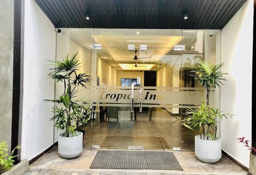 Отель Tropic Inn