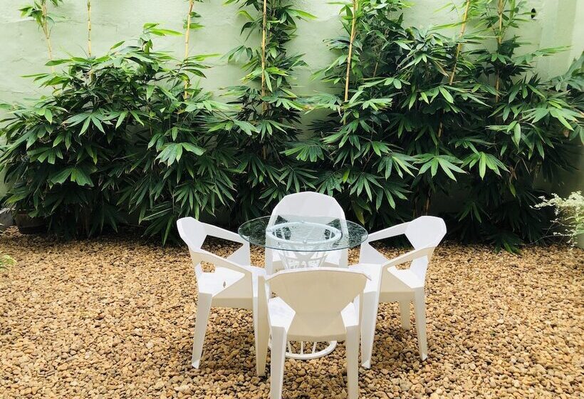 Отель Tropic Inn