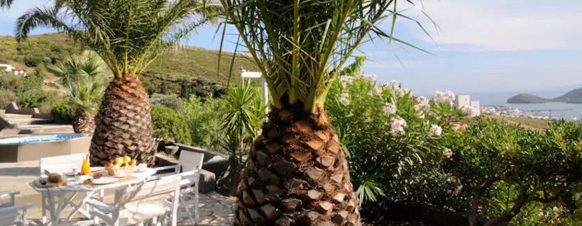 Kymothoi Rooms & Pool Bar