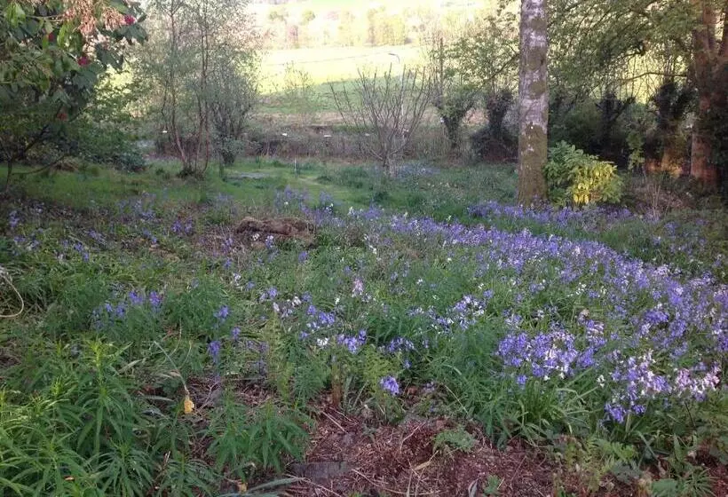 تختخواب و صبحانه Cruachan House