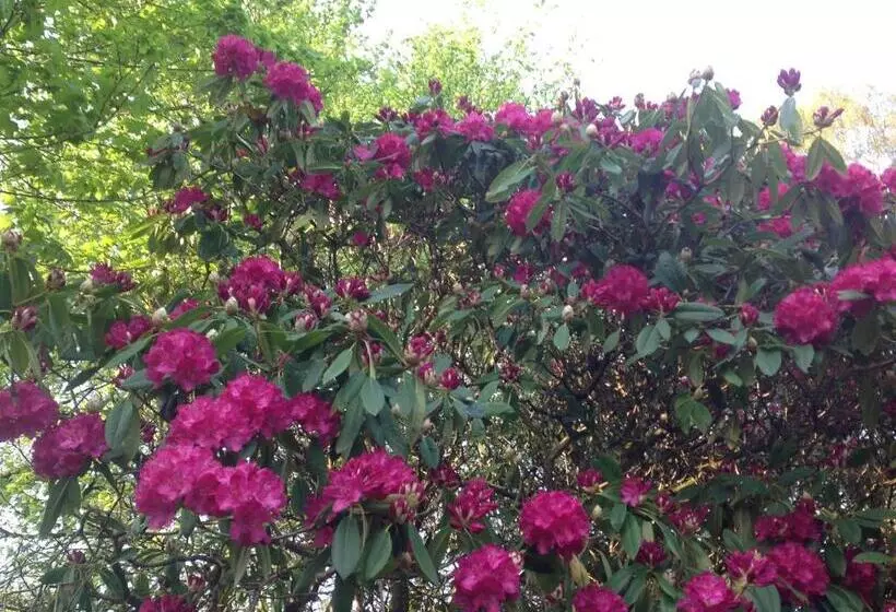 تختخواب و صبحانه Cruachan House