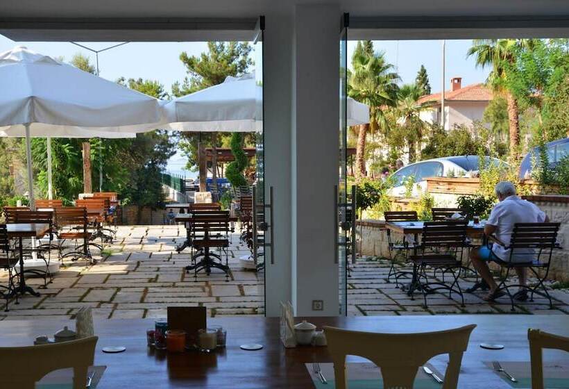 בית מלון כפרי Arnna