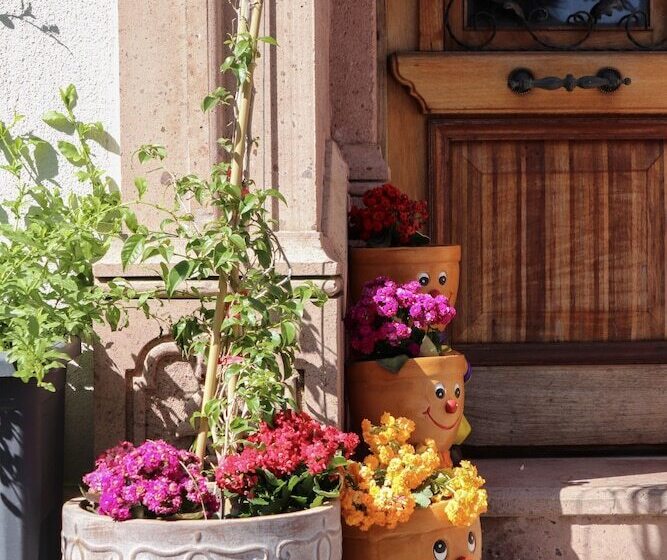 בית מלון כפרי Doruk