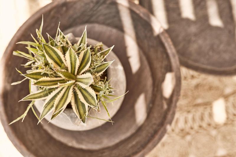 ホテル Naxian On The Beach   Adults Only