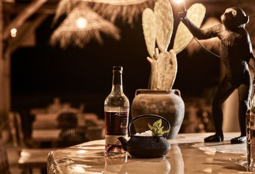 ホテル Naxian On The Beach   Adults Only