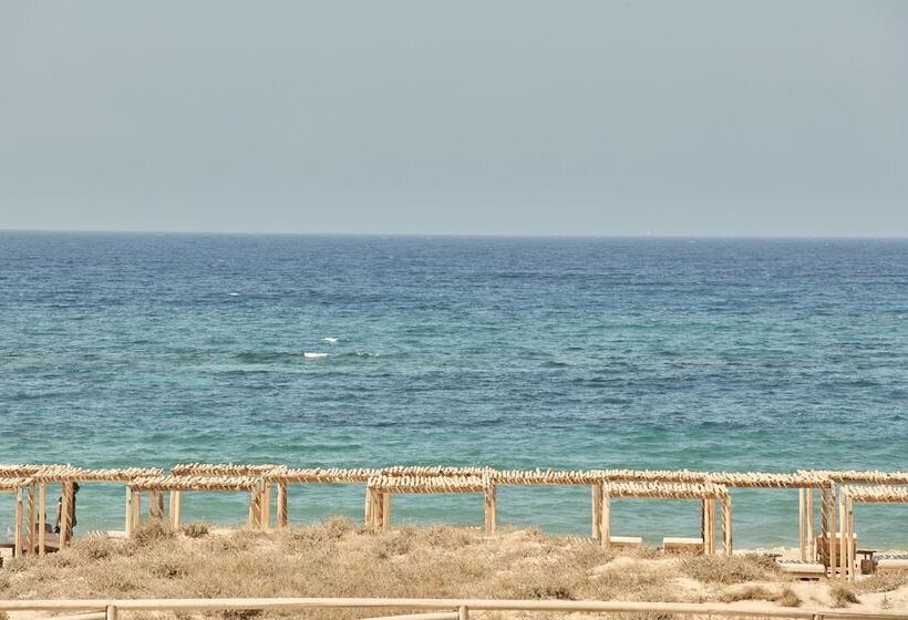 ホテル Naxian On The Beach   Adults Only