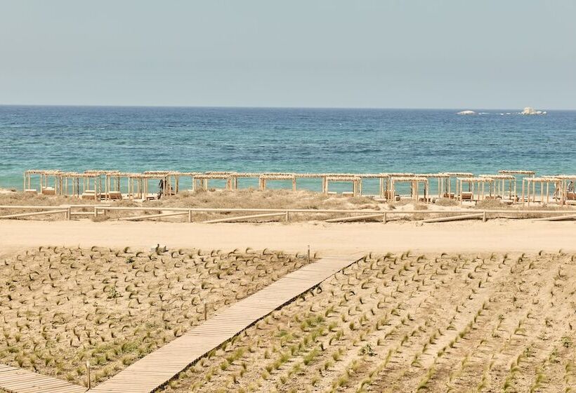 ホテル Naxian On The Beach   Adults Only