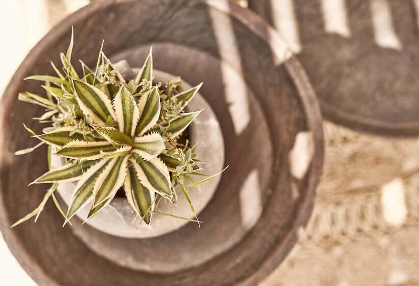 ホテル Naxian On The Beach   Adults Only