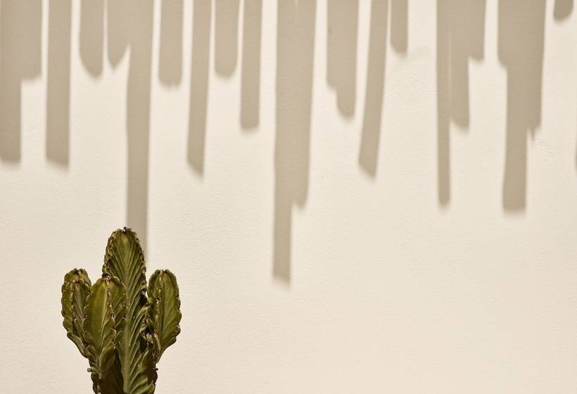 ホテル Naxian On The Beach   Adults Only