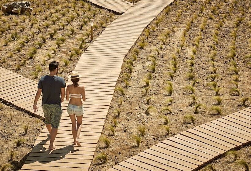 ホテル Naxian On The Beach   Adults Only