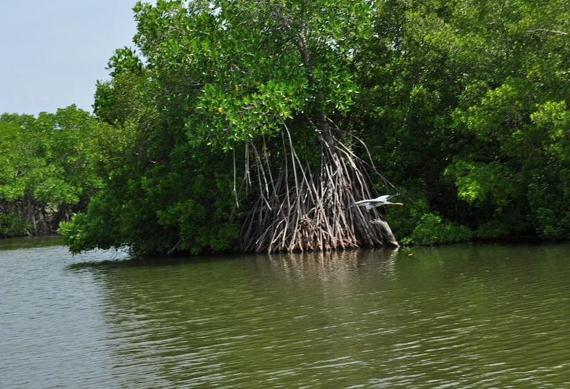 هتل The Waves Beach Chalets