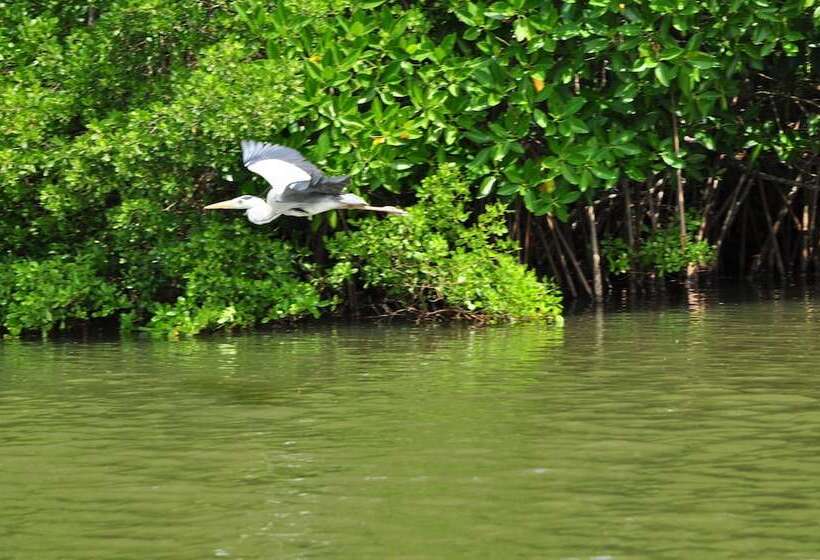 هتل The Waves Beach Chalets