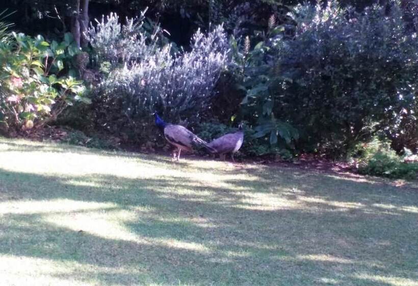 Пансион Southern Light Country House