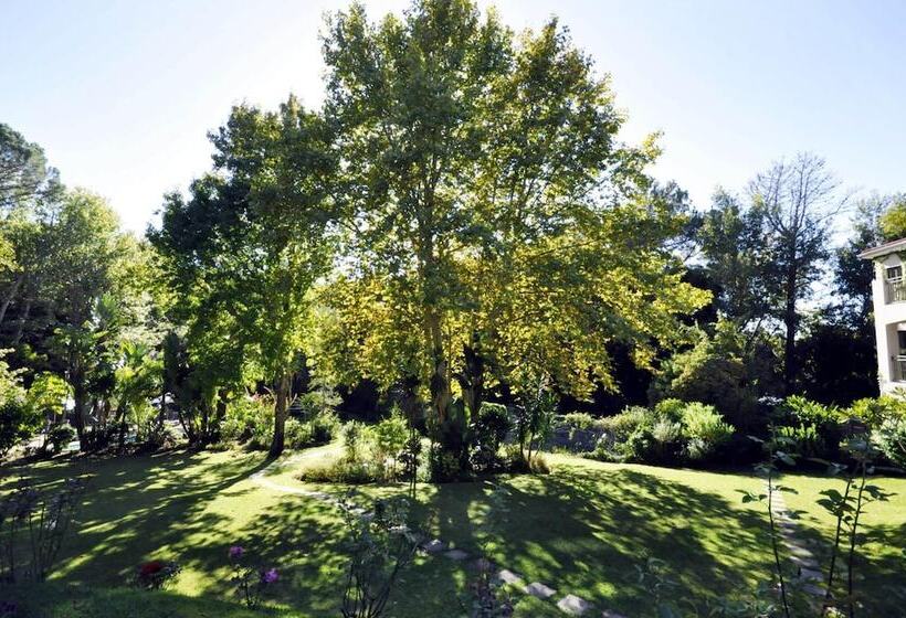 Пансион Southern Light Country House