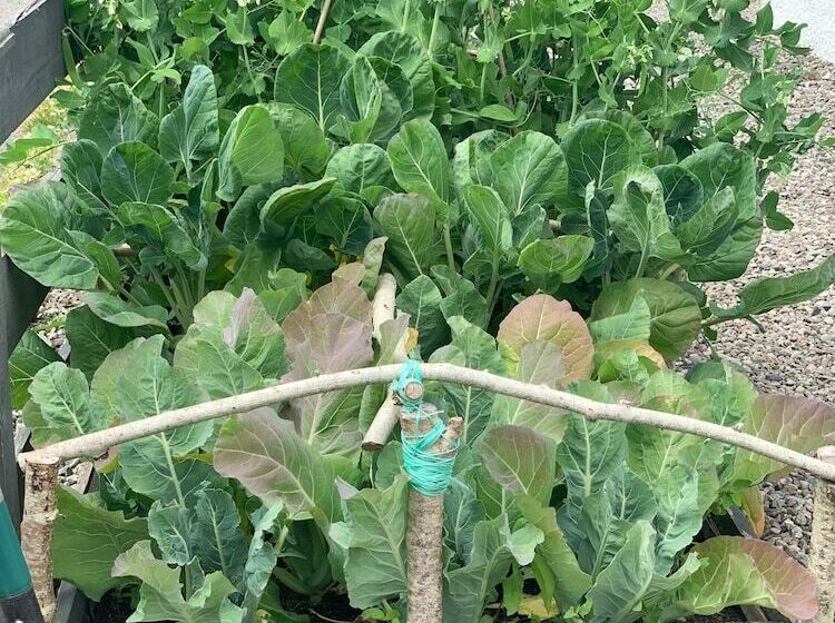 住宿加早餐 The Croft Place Of Architectual Interest