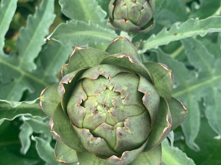 住宿加早餐 The Croft Place Of Architectual Interest