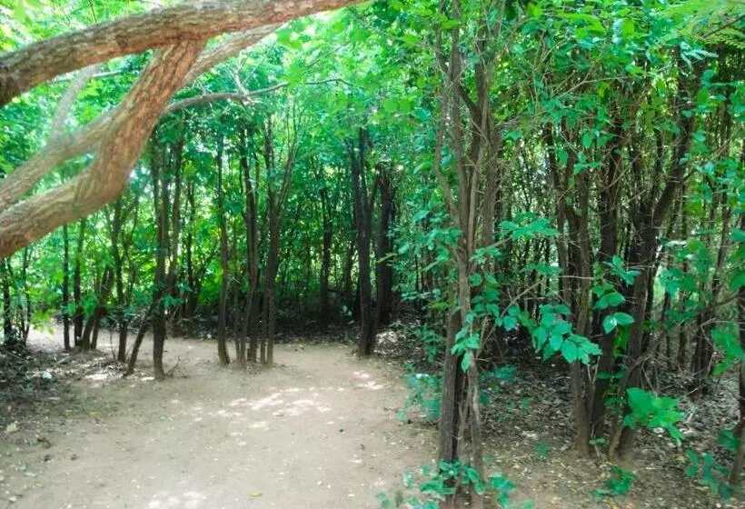 Hotelli Yala Beddegama Eco