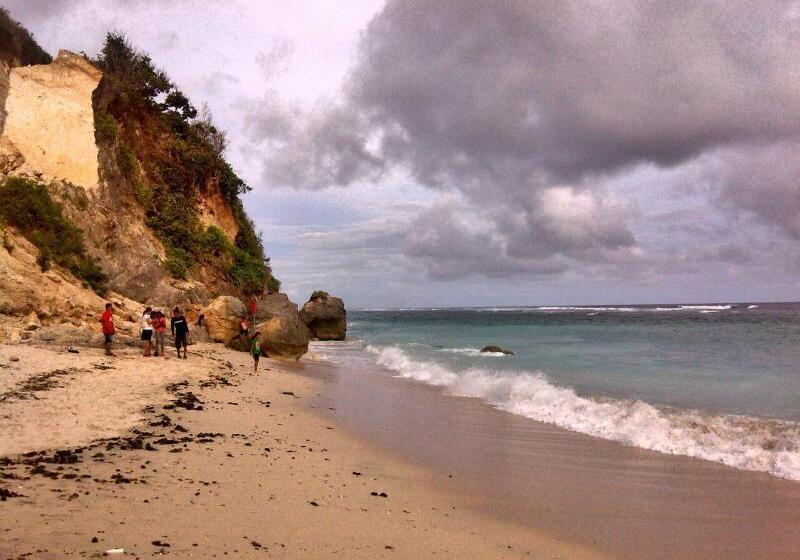 Пансион The Hill Ungasan